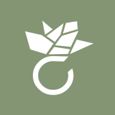 Amoonic - precious by nature DE logo