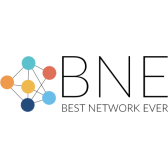 BNESIM logo