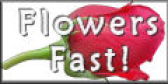Flowers Fast.com-Send Flowers Same Day Delivery logo